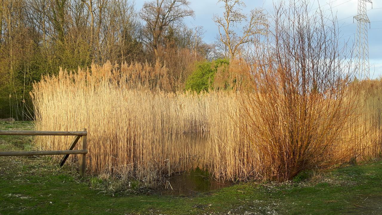 Bed and Breakfast Mybednbreakfast In Bottmingen Екстер'єр фото