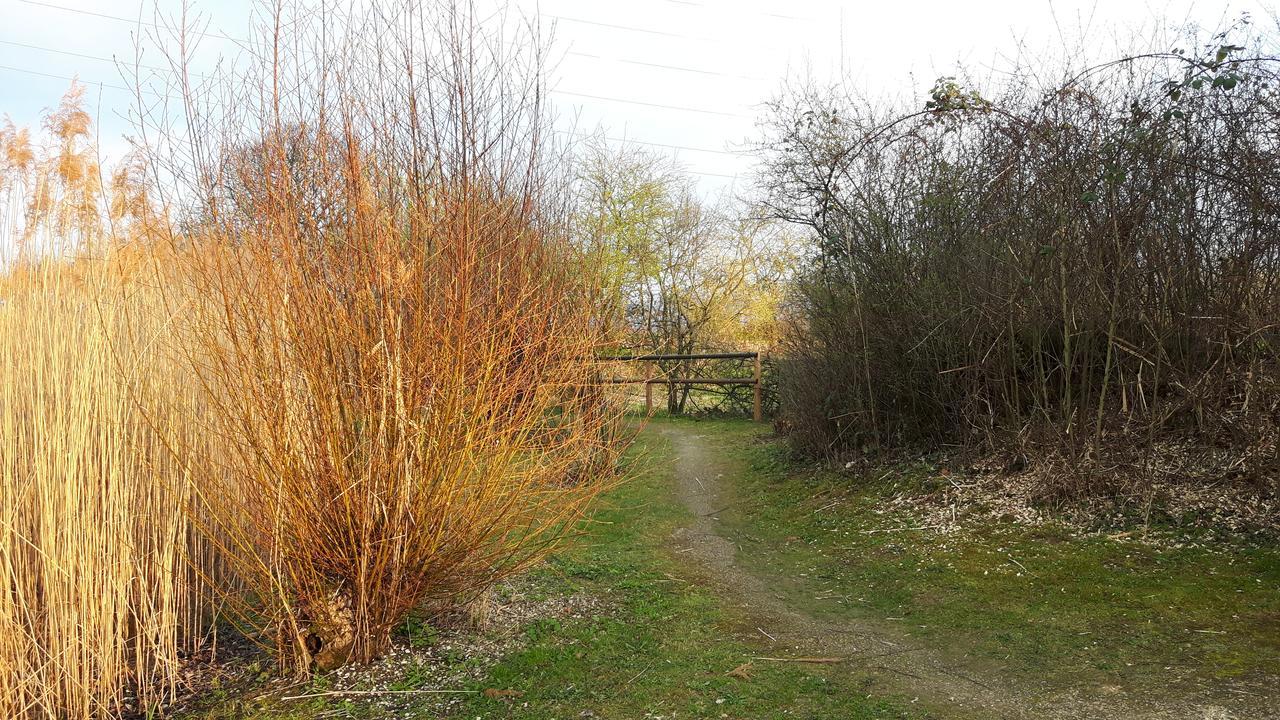 Bed and Breakfast Mybednbreakfast In Bottmingen Екстер'єр фото