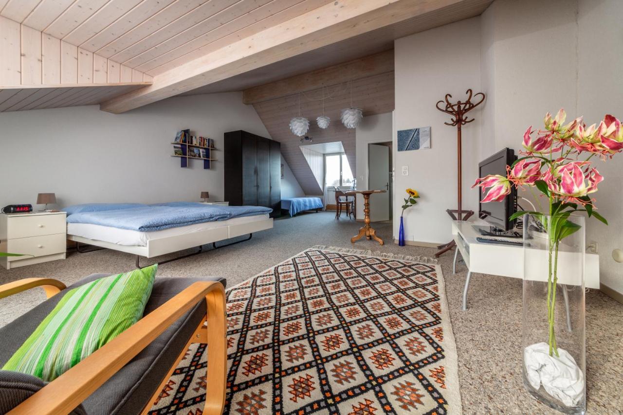 Bed and Breakfast Mybednbreakfast In Bottmingen Екстер'єр фото