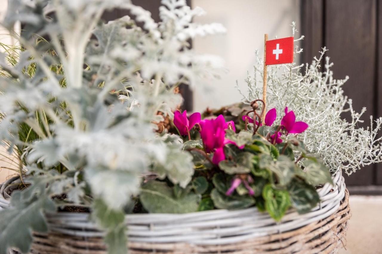 Bed and Breakfast Mybednbreakfast In Bottmingen Екстер'єр фото